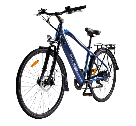 MS ENERGY eBike c11